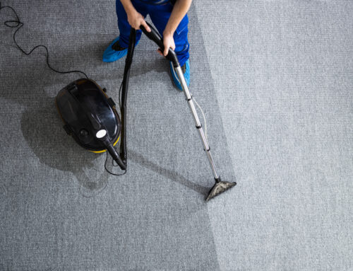 Best time for carpet cleaning